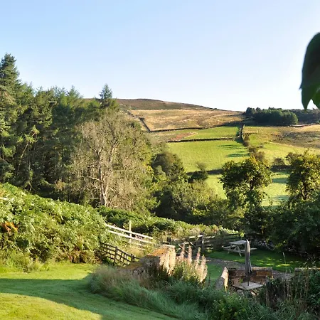 Wood Feriehus Middlesbrough